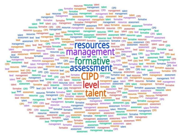 CIPD Resources Talent Management – Formative Assessment 1